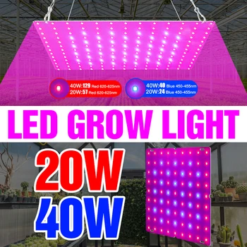 CanLing LED Augu Augt Gaismas 240V Fitolampy 20W 40W Pilna Spektra LED augu Lampas ar MUMS, ES UK Plug LED Dārzeņi Ziedu Audzēšanas Gaismas
